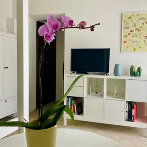 Cozy Gambara - Sansiro Appartement